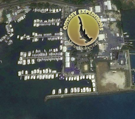 Odyssey Base in BVI